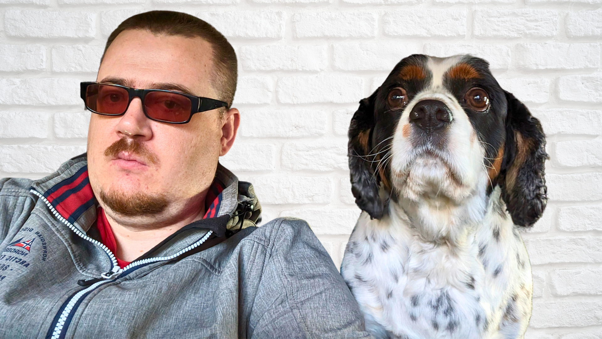 Mein Hund BoB und Ich