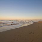 mein Hund, meine Kamera und ich ... alleine am Strand