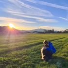 MEIN HUND UND ICH  - Träumen in der Abendsonne