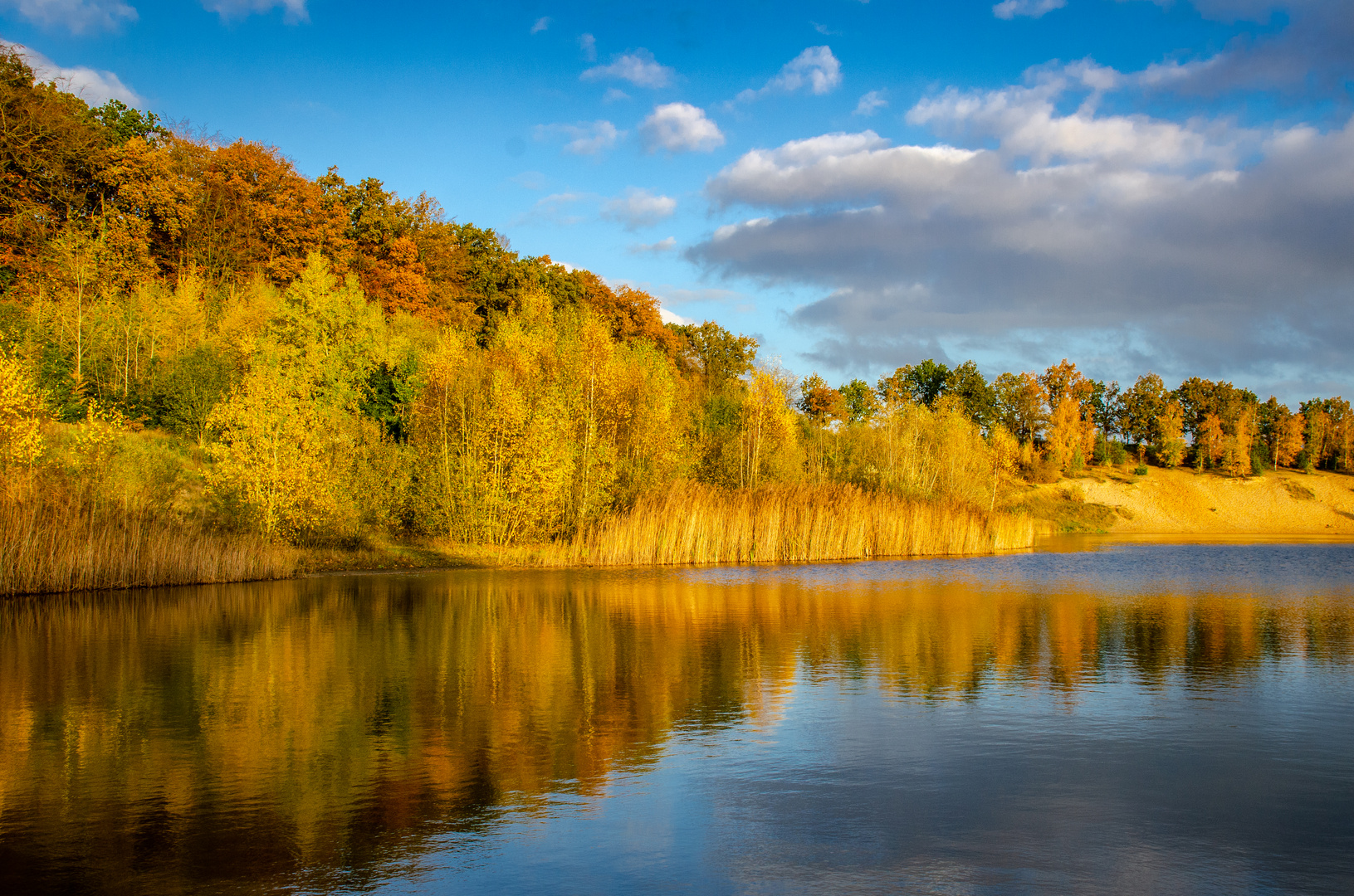 Mein Indian Summer