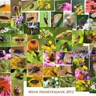 Mein Insektenjahr 2012
