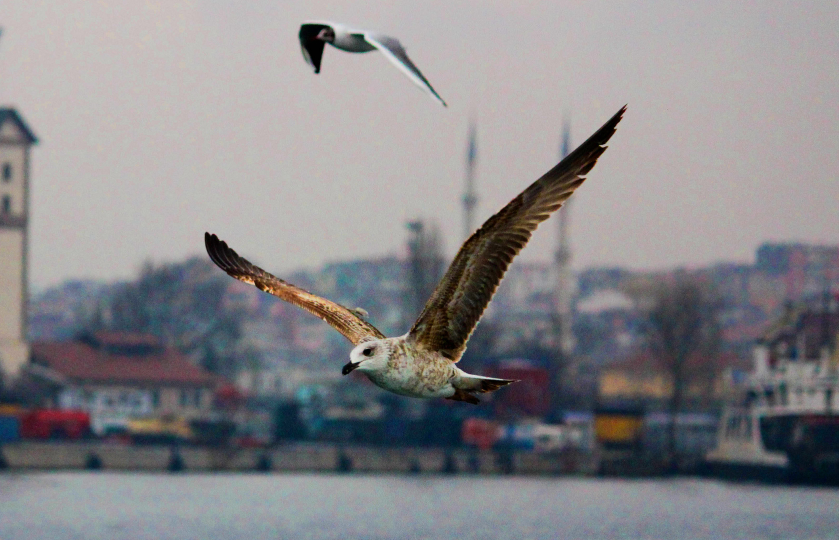 Mein ist Istanbul..