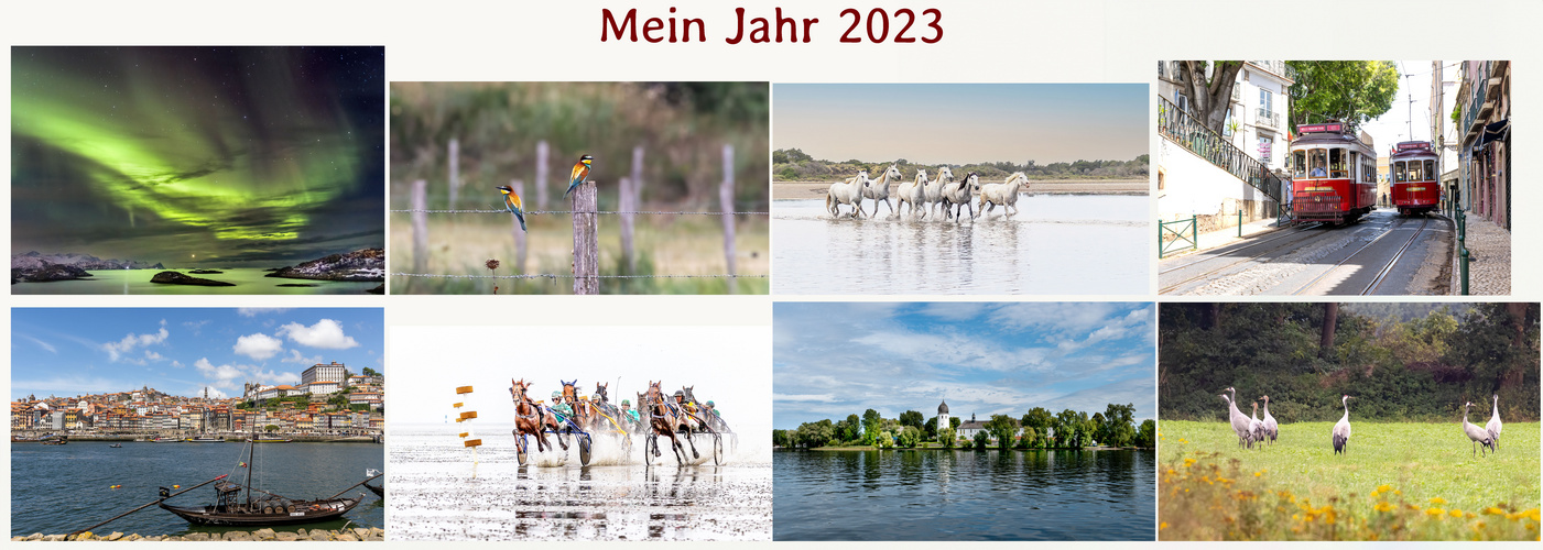 Mein Jahr 2023