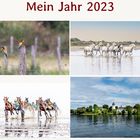 Mein Jahr 2023