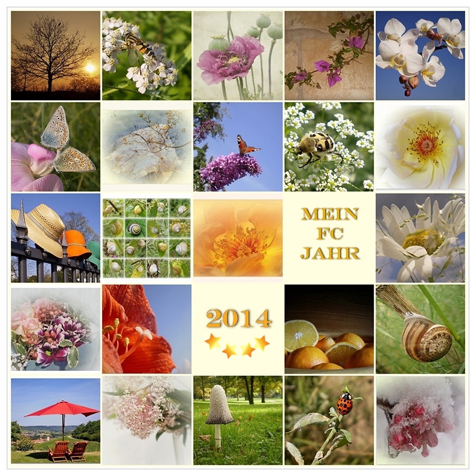 Mein Jahr im Rückblick Foto & Bild  das war 2014, jahresrückblick, spezial Bilder auf fotocommunity