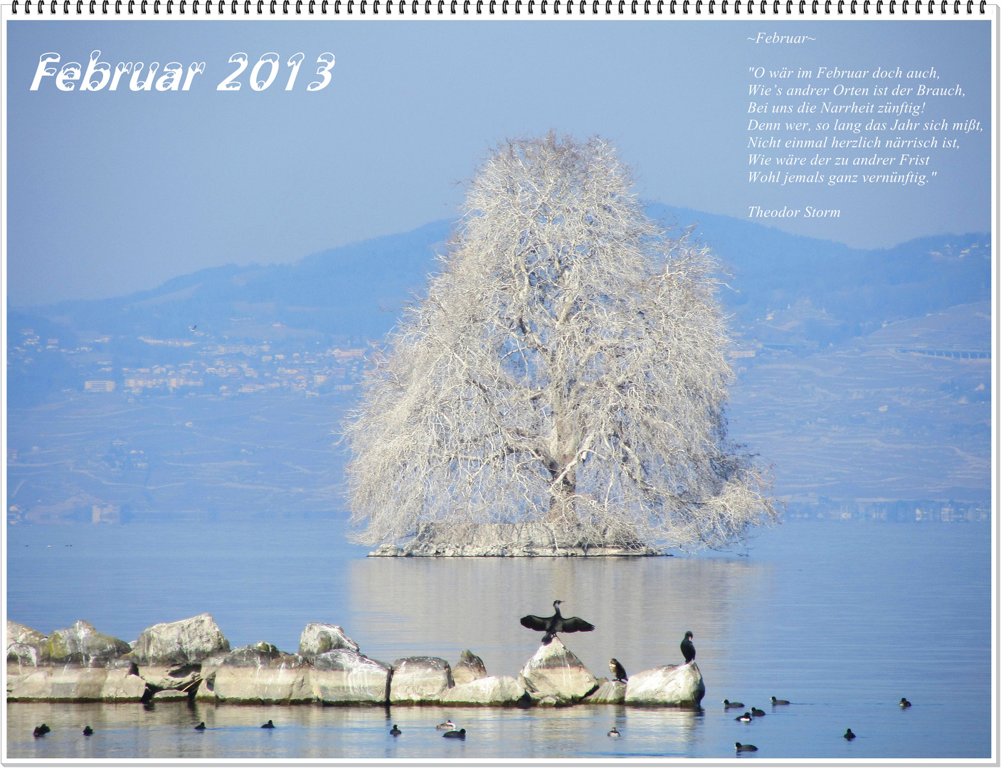 mein Kalenderblatt : Februar 2013