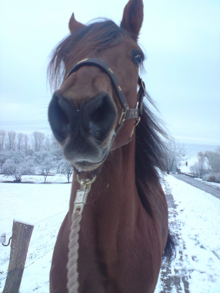 Mein Kleiner : )