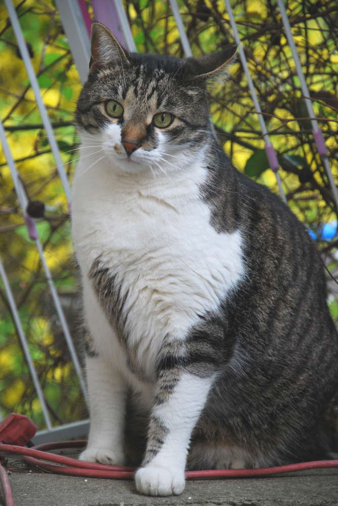 Mein kleiner Angsthase Bruno !