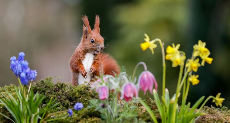 Mein kleiner Blumenfreund...