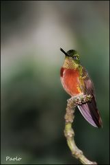 mein kleiner Freund aus Ecuador