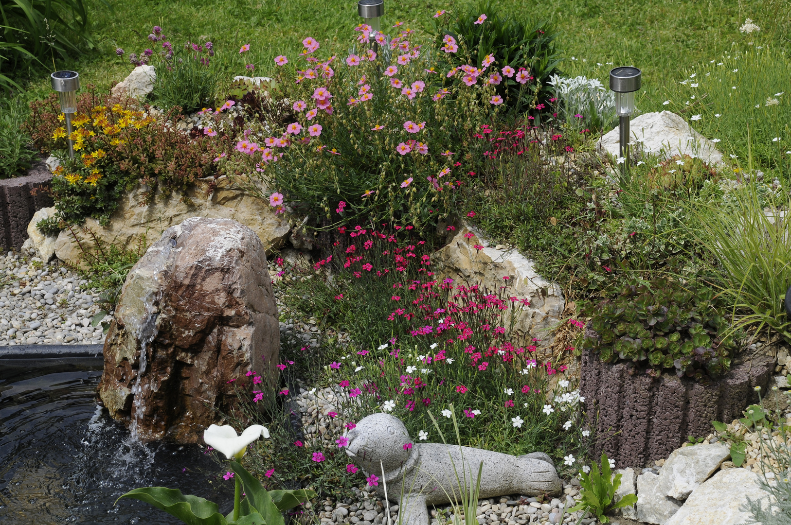 Mein Kleiner Gartenteich