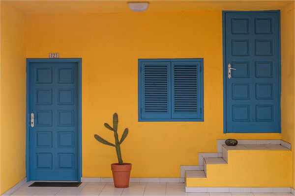 mein kleiner grüner kaktus