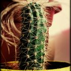 Mein kleiner grüner Kaktus.
