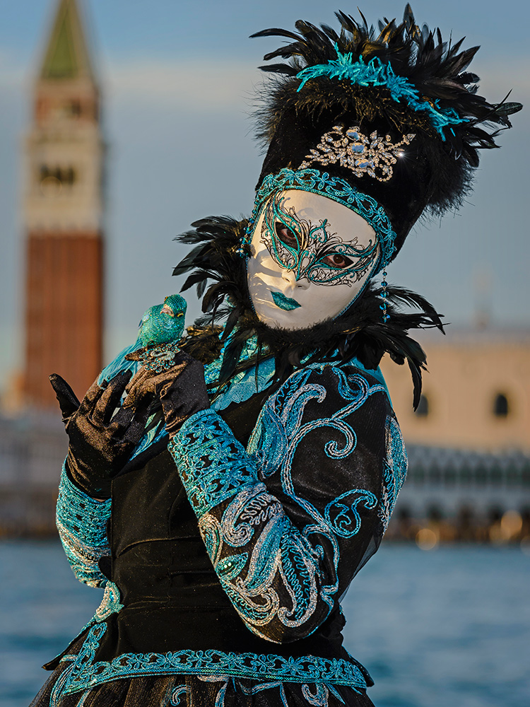 Mein kleiner Papagei Foto & Bild | europe, italy, vatican city, s