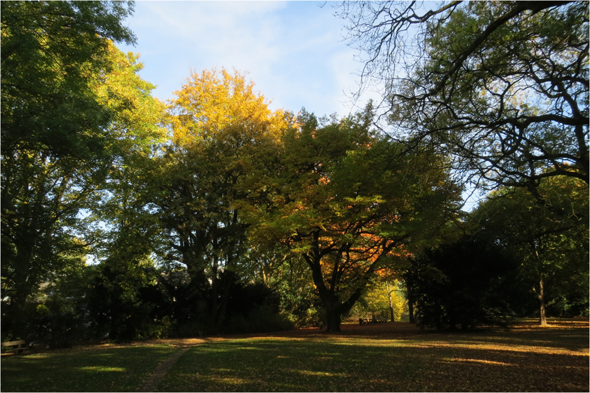  Mein kleiner Park...