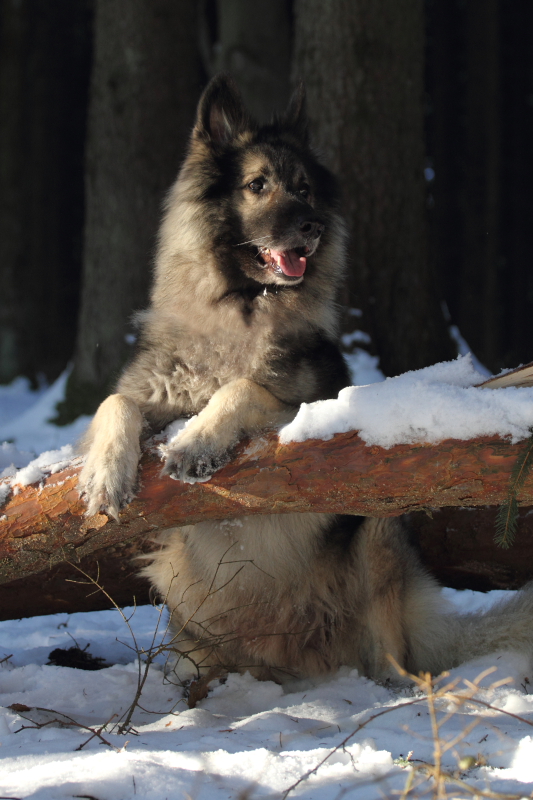 Mein kleiner Poser :-)