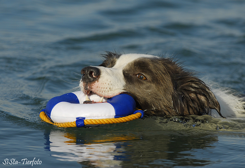 Mein kleiner Rettungsschwimmer