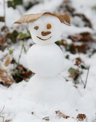mein kleiner Snowman :-)