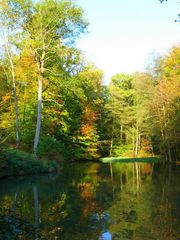 Mein kleiner Waldsee