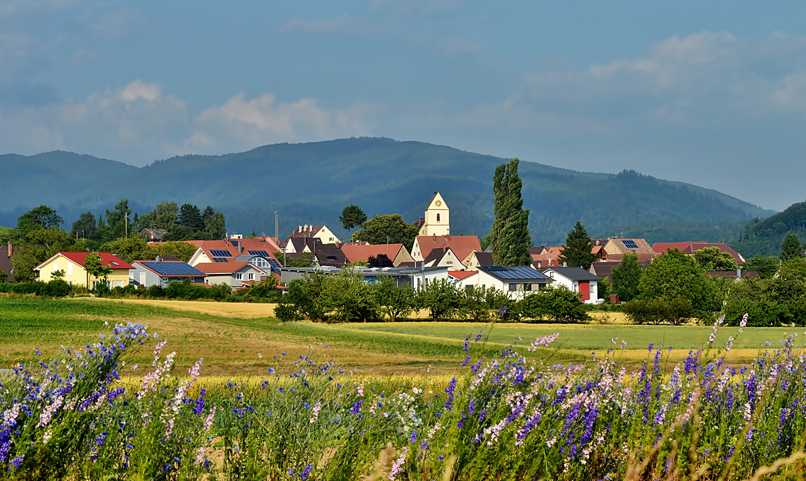 ~~~ Mein kleines Dorf ~~~