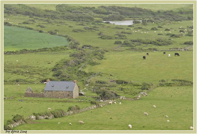 Mein kleines Traumcottage in Wales....