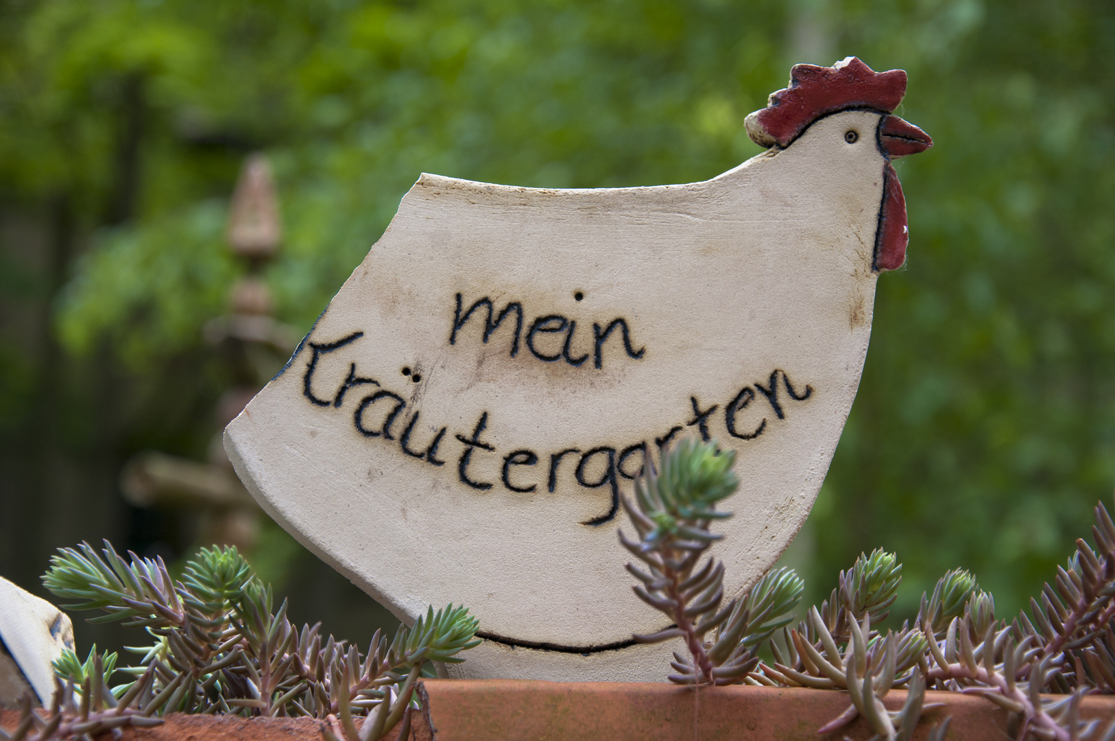 Mein Kräutergarten