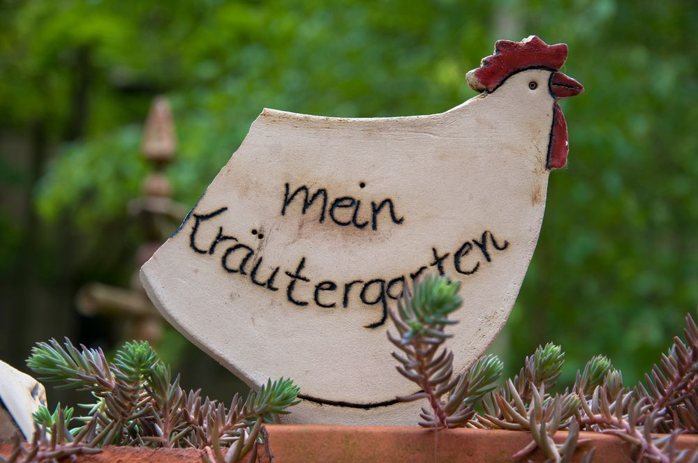 Mein Kräutergarten