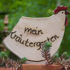 Mein Kräutergarten