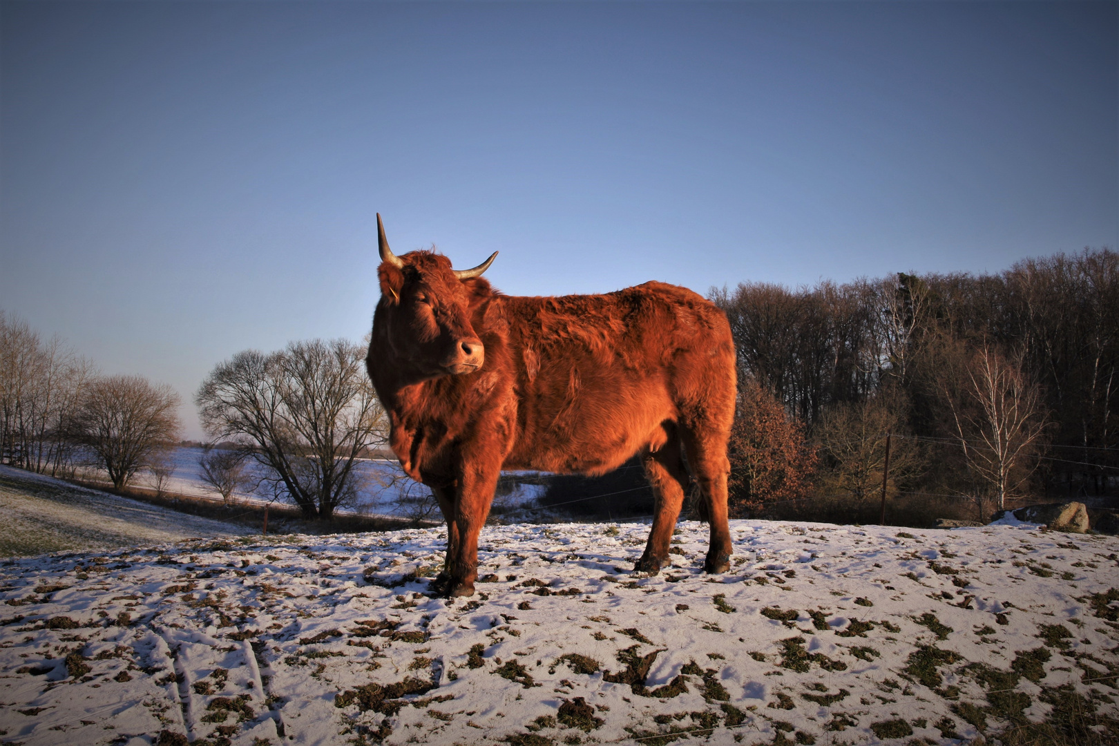 Mein kuhles Winter-Model