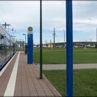 Mein Leibzsch lobsch mir.... (2)______________Paunsdorf-Nord Linie 7