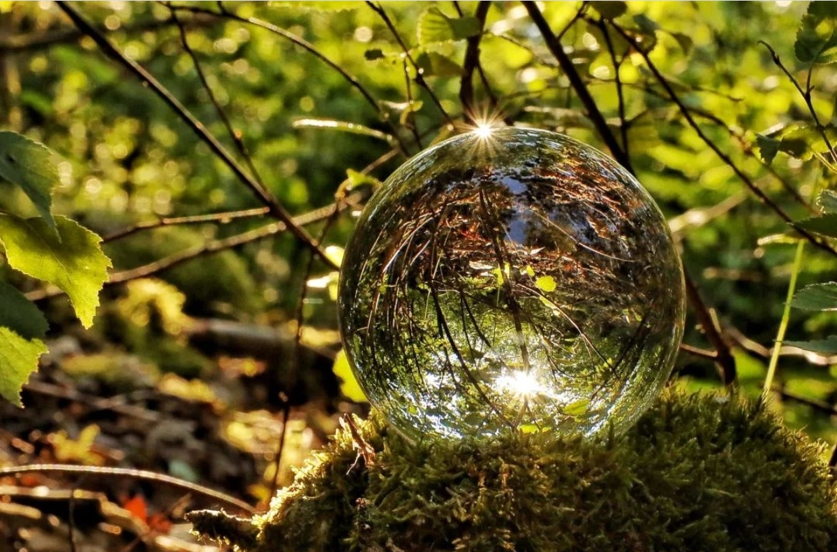Mein Lensball im niederwald