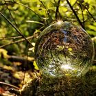 Mein Lensball im niederwald