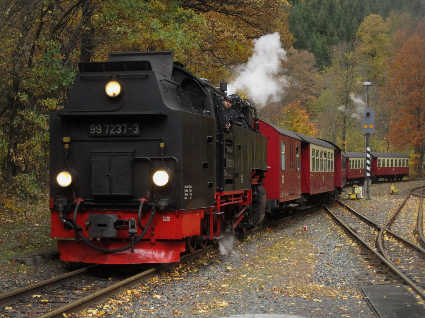 Mein letzter Herbstausflug ins Selketal vor der November Pause 1.