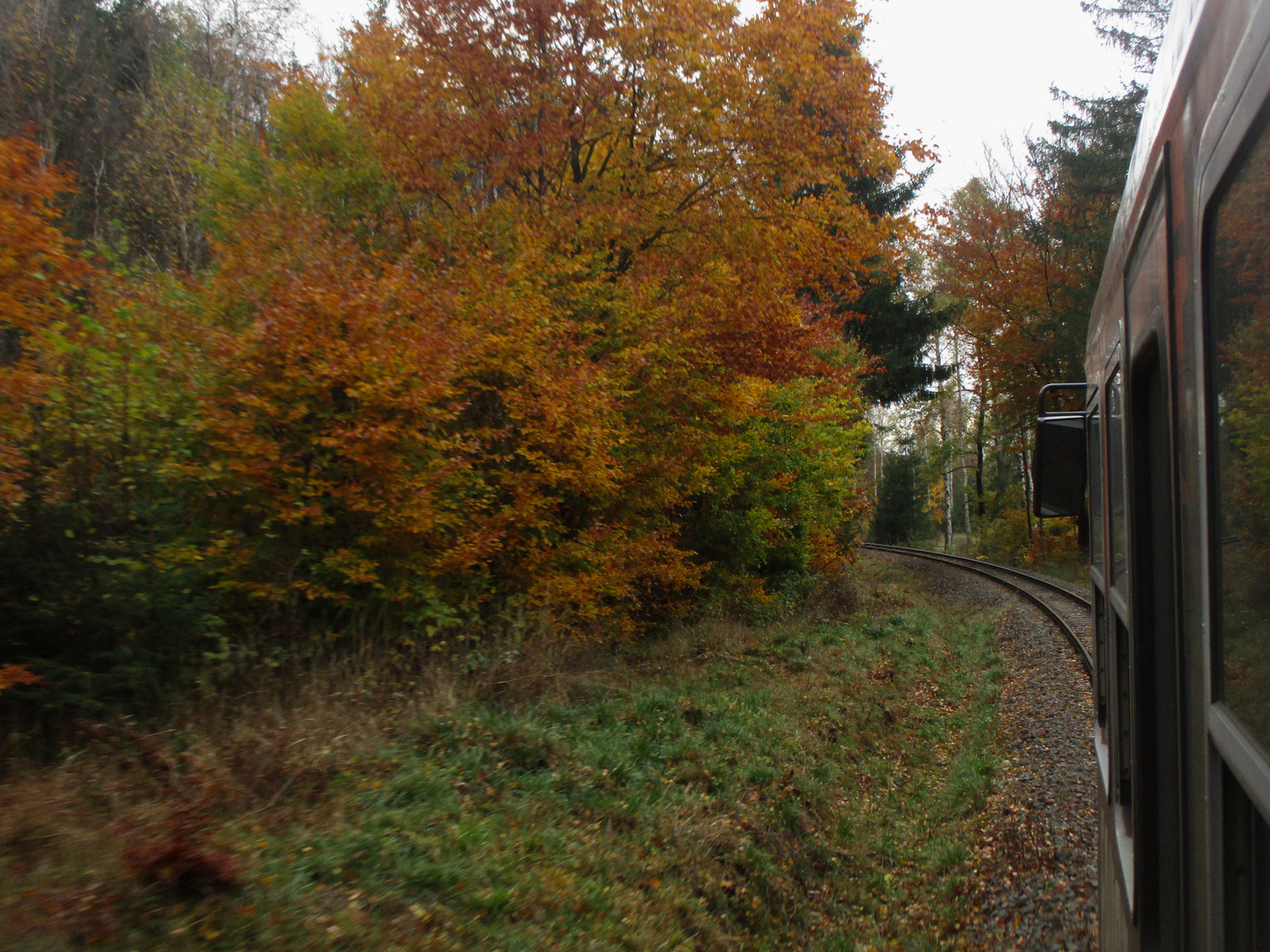 Mein letzter Herbstausflug ins Selketal vor der November Pause 2.