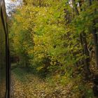 Mein letzter Herbstausflug ins Selketal vor der November Pause 4.