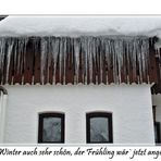 Mein letztes Winterbild!