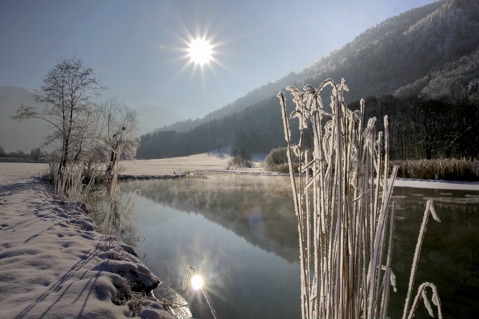 Mein letztes Winterfoto...