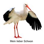 -Mein lieber Schwan-