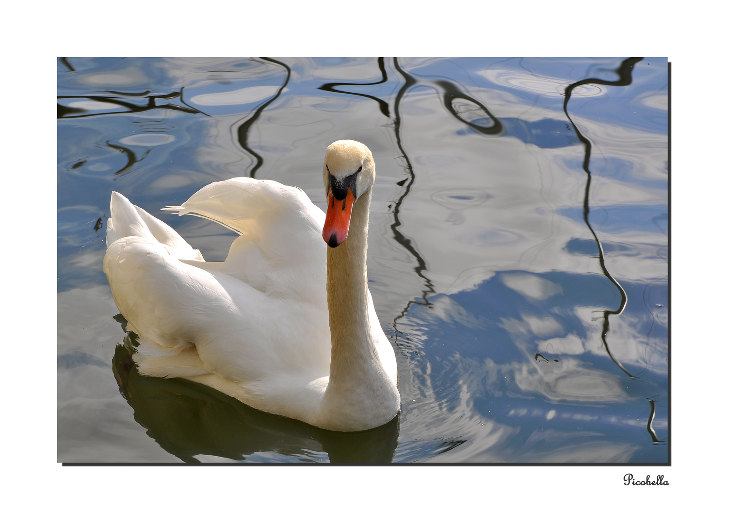 ...mein lieber Schwan !