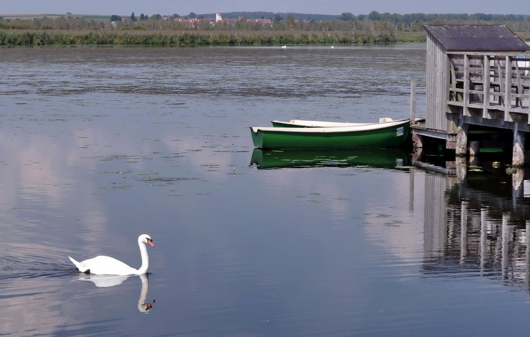 Mein lieber Schwan ...