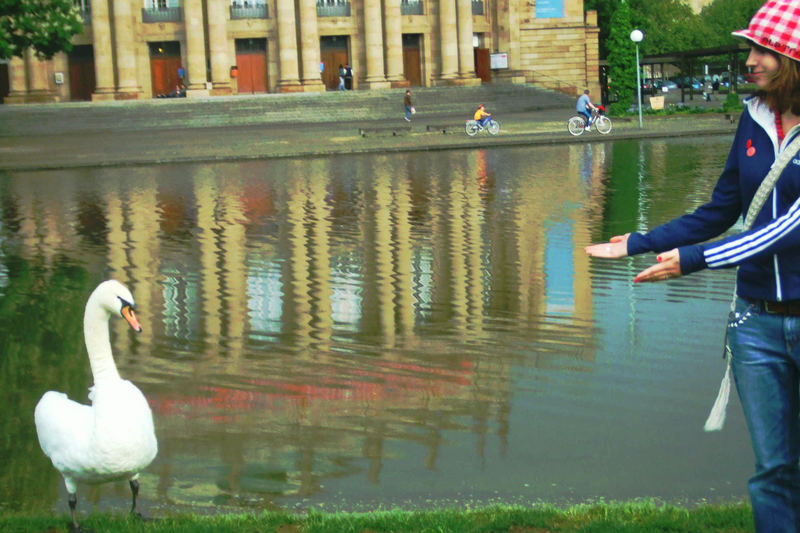 Mein lieber Schwan