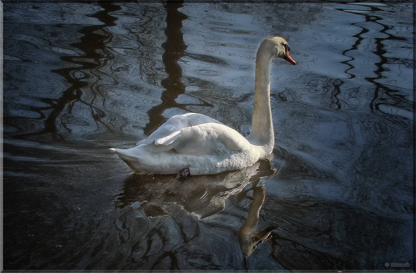 Mein lieber Schwan...