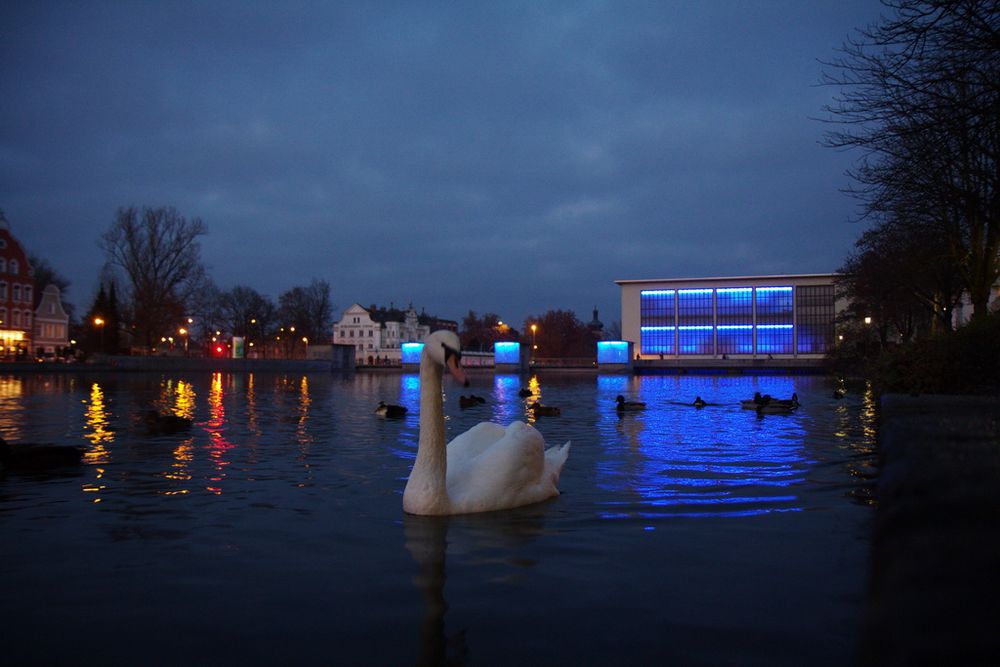 mein lieber Schwan