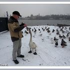 Mein lieber Schwan  (mit Gedicht)