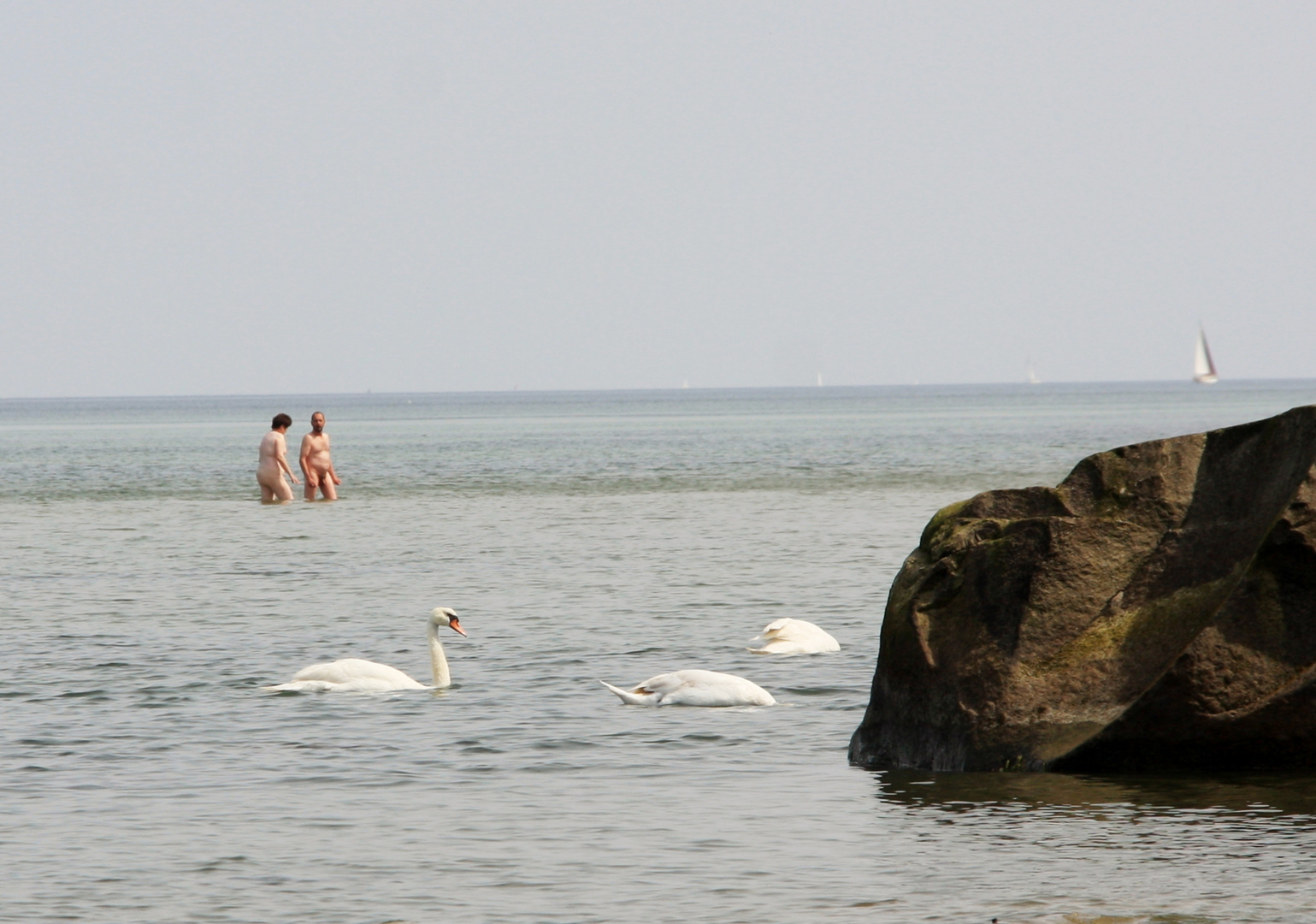 mein lieber schwan.....tu mir nix an