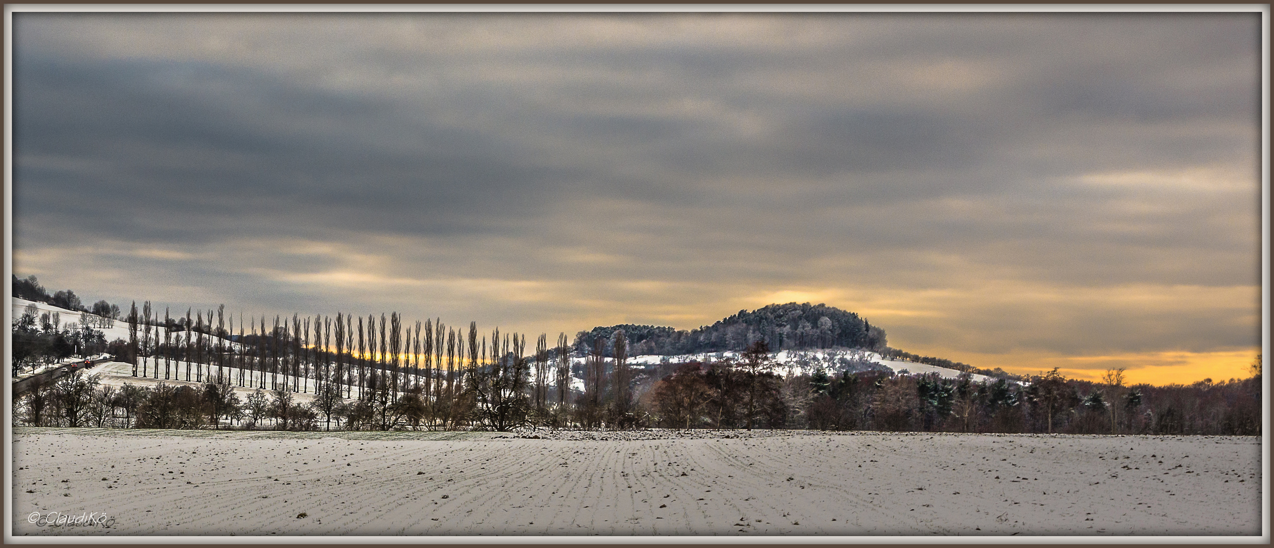 mein Lieblingausblick - die Pappeln im Schnee - am Abend