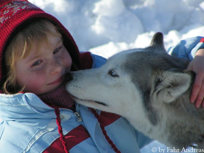 Mein Lieblingsbild "Der Hund mein Freund"