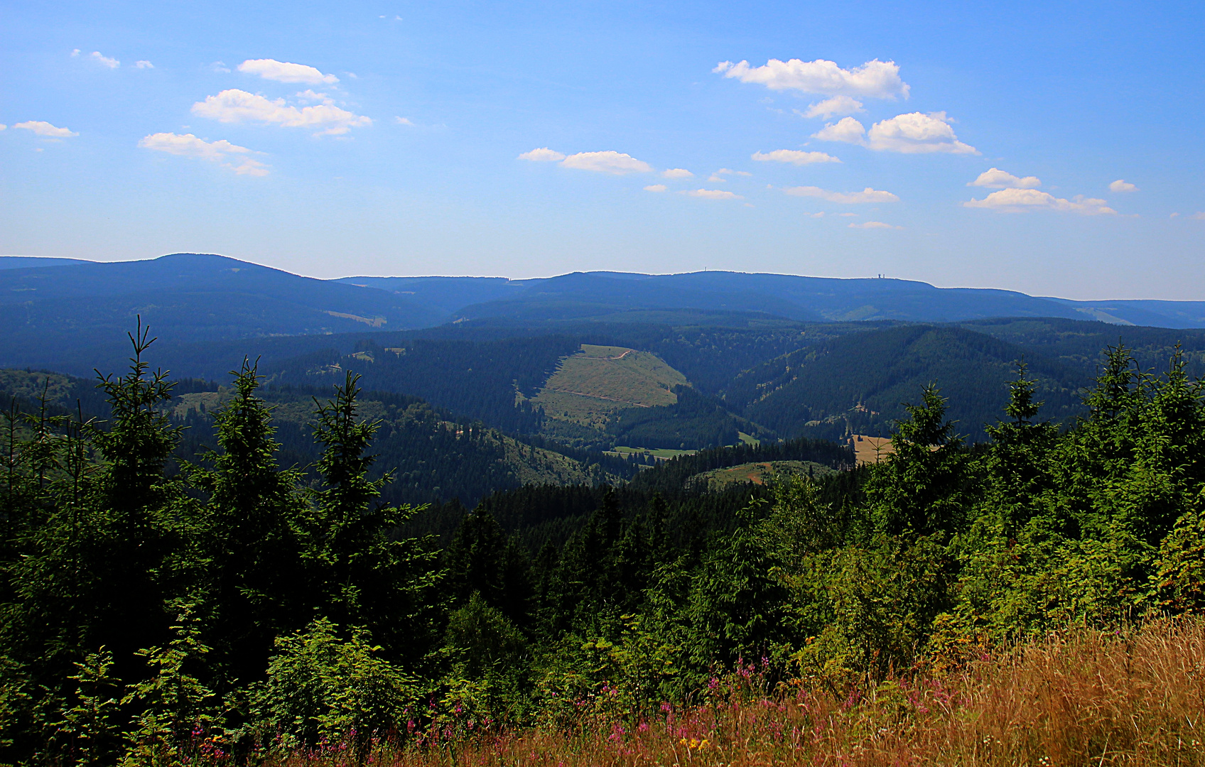 Mein Lieblingsblick vom Kickelhahn bei Ilmenau