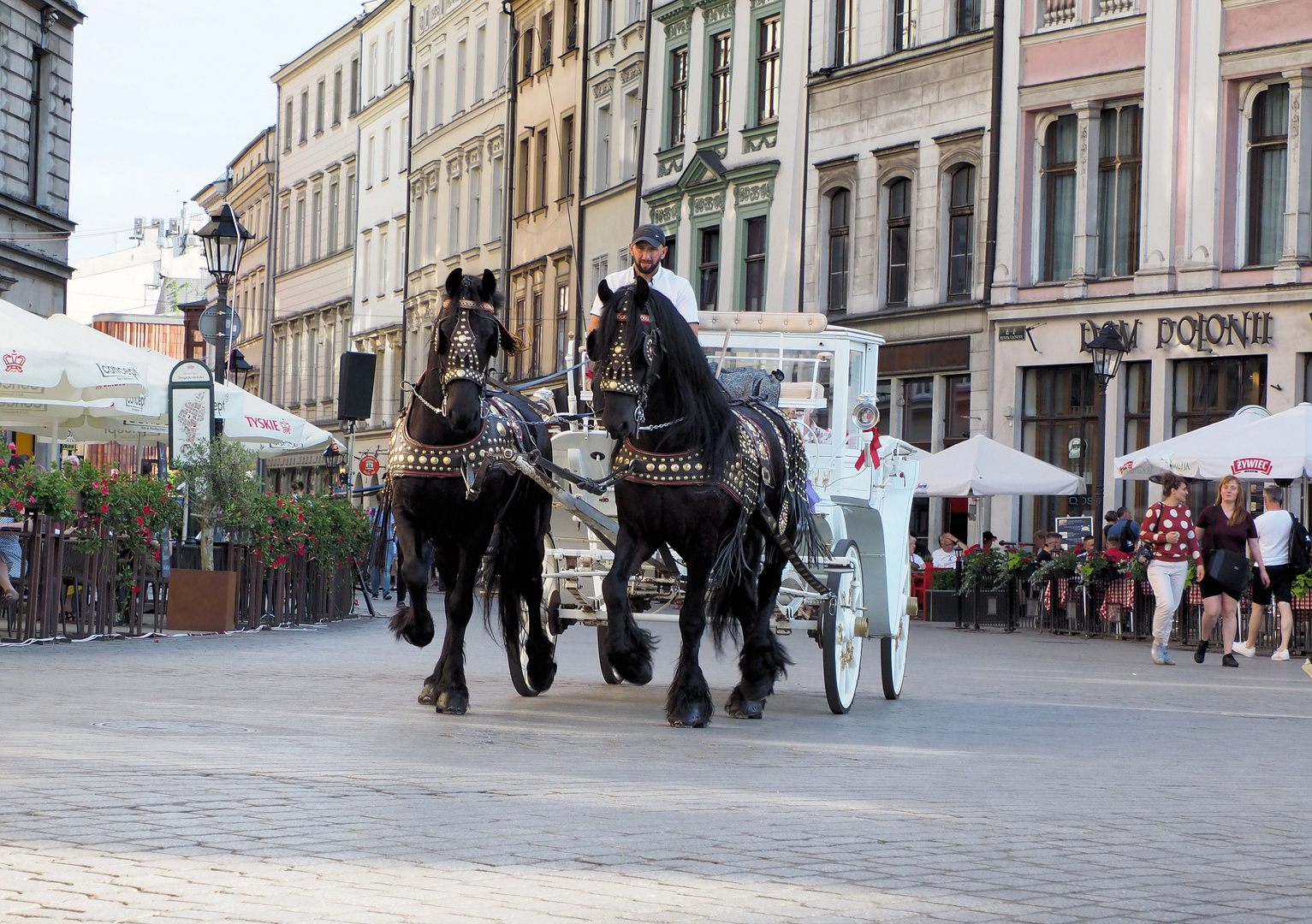 Mein Lieblingsgespann in Krakau ...