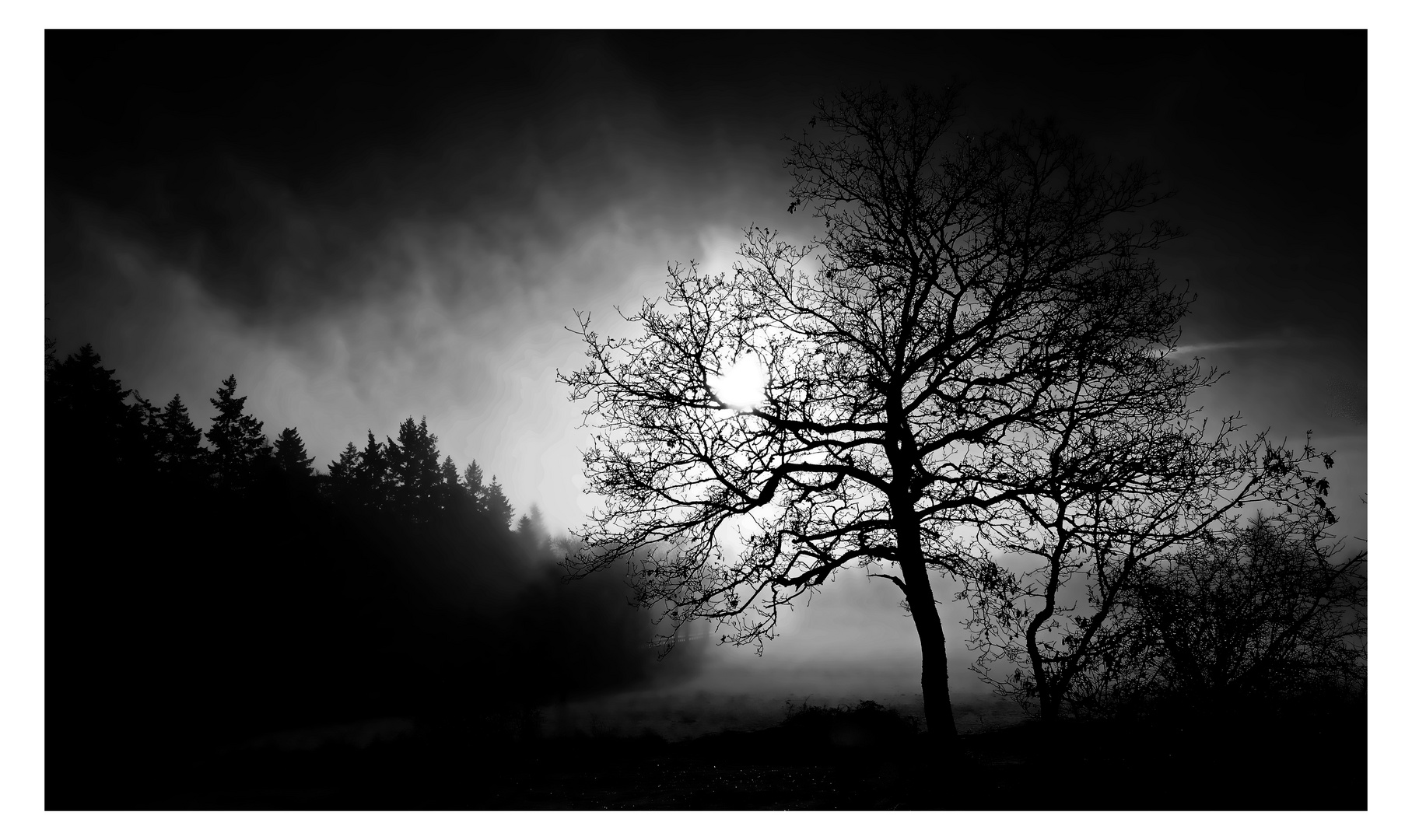 Mein Lieblingsmotiv.....